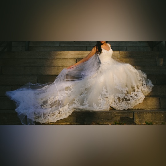 Pronovias Wedding Dress (US 4) - Picture 6 of 11